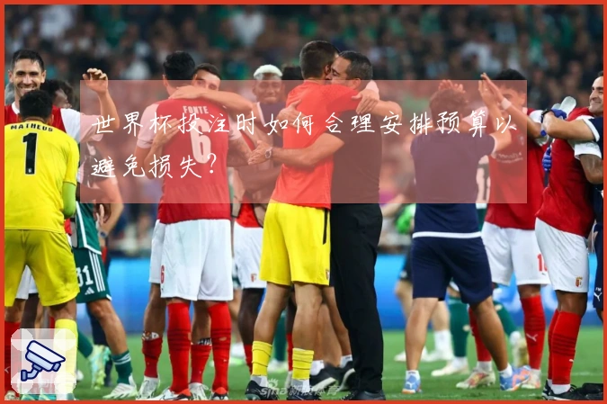 世界杯投注时如何合理安排预算以避免损失？