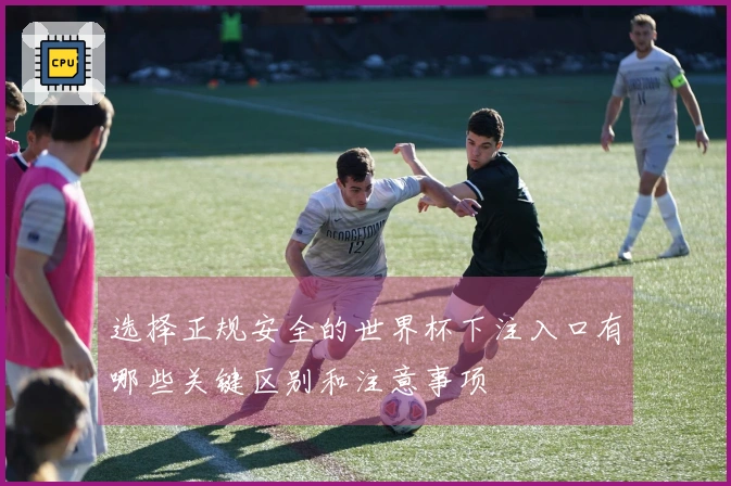 选择正规安全的世界杯下注入口有哪些关键区别和注意事项