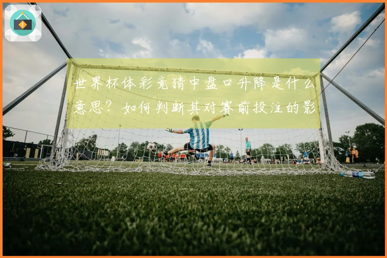 世界杯体彩竞猜中盘口升降是什么意思？如何判断其对赛前投注的影响？