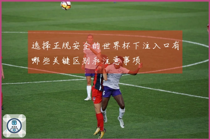 选择正规安全的世界杯下注入口有哪些关键区别和注意事项
